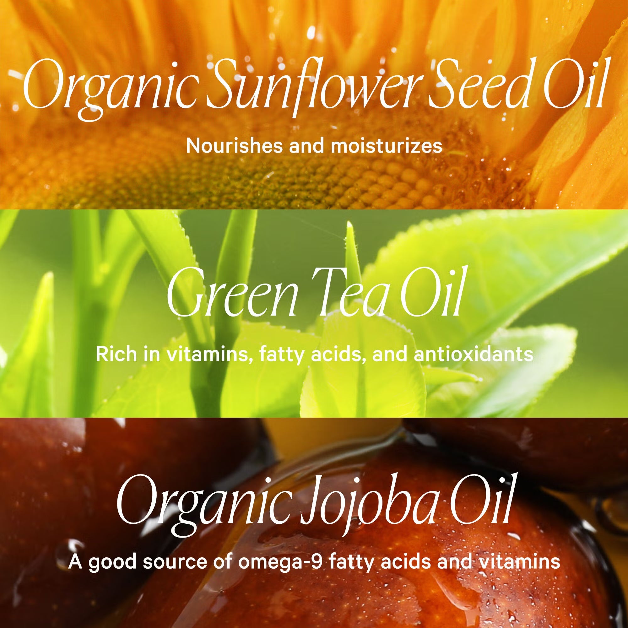 Light Tan - Light Warm Bronze