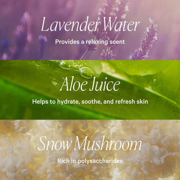 well people makeup setting spray vegan ingredients