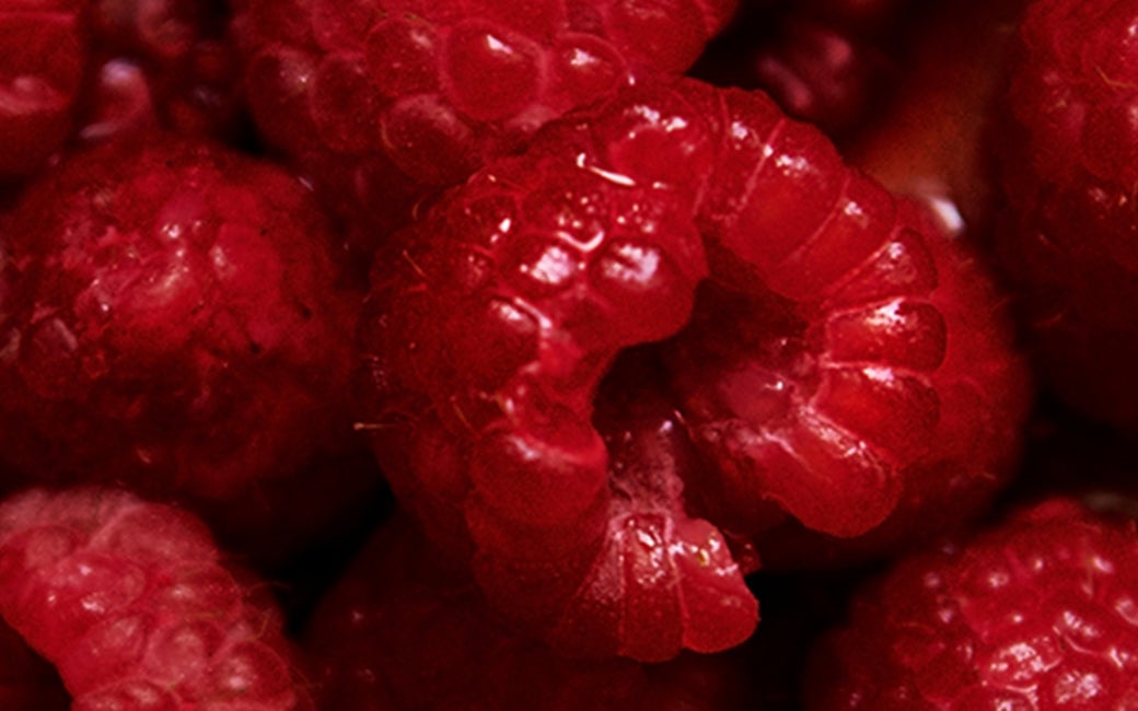 Raspberry Seed Oil